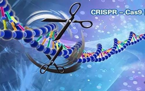 Science最新揭秘：除了CRISPR，細菌體內還存在超10種免疫防御系統